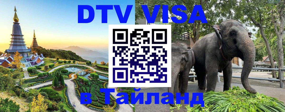 Купить DTV визу в Таиланд 